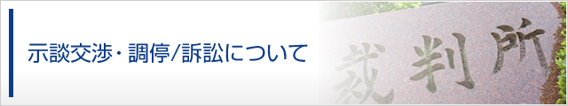 示談交渉・調停/訴訟について